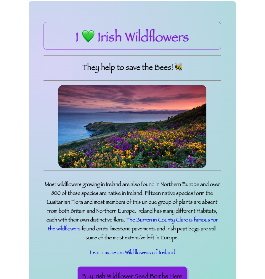 Wildflower project preview